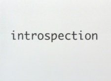 Introspection